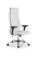 Кресло для руководителя Метта Sit 10 B1-163D - T+Extra /Km00/Wm12/D02P(M09.B21.G20.W01)